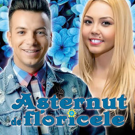 Album cover of Așternut De Floricele