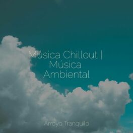 Album cover of Música Chillout | Música Ambiental