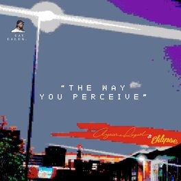 Album cover of the way you perceive (feat. Ayeisha Raquel & Eklipse)