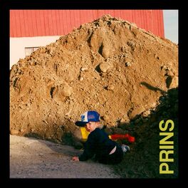 Album cover of Prins