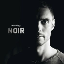 Album cover of Noir