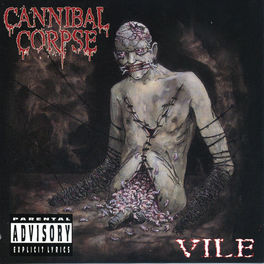 Album cover of Vile