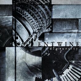 Album cover of Dieversity