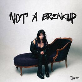 Album cover of NOT A BREAKUP