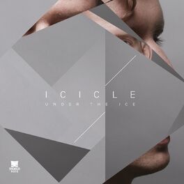 Album cover of Under the Ice