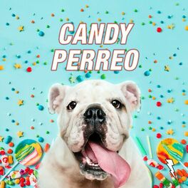Album cover of Candy Perreo