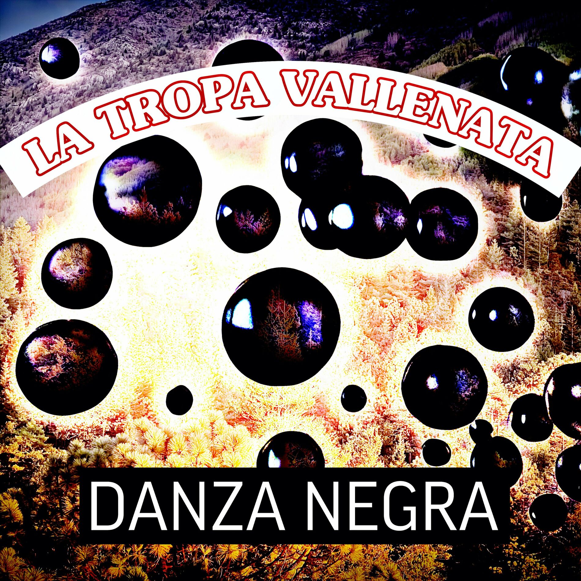 La Tropa Vallenata: música, canciones, letras | Escúchalas en Deezer