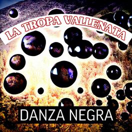 Album cover of Danza Negra
