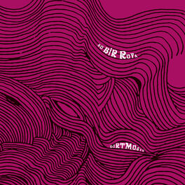 Album cover of Bu Bir Ruya