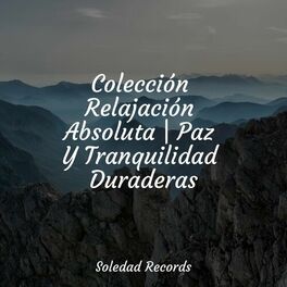 Album cover of Colección Relajación Absoluta | Paz Y Tranquilidad Duraderas
