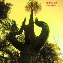 Album cover of Cosmos