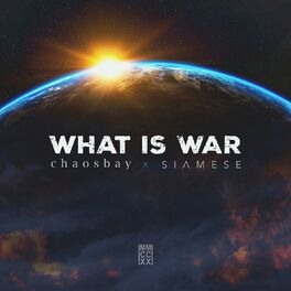 Album cover of What Is War