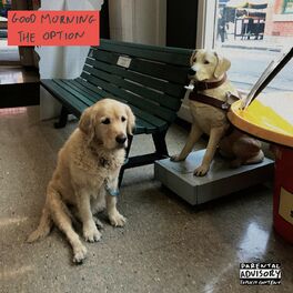 Album cover of The Option