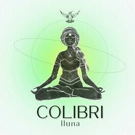 Album cover of Colibrí