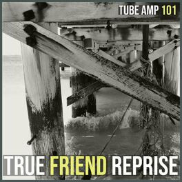 Album cover of True Friend (Reprise)