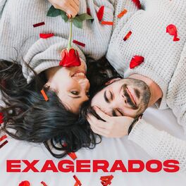 Album cover of Exagerados