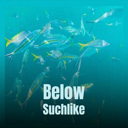 Album cover of Below Suchlike