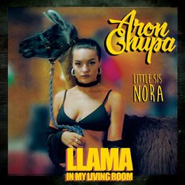 Album cover of Llama In My Living Room