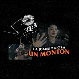 Album cover of UN MONTÓN