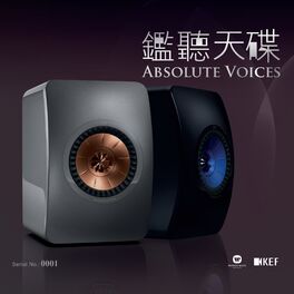 Album cover of Absolute Voices