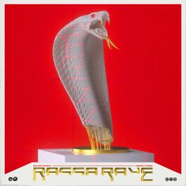 Album cover of Ragga Rave