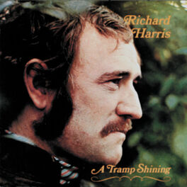 Album cover of A Tramp Shining