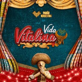 Album cover of Vida Vitalina - Vitalino Centenário