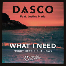 Album cover of What I Need (Right Here, Right Now) featuring Justina Maria