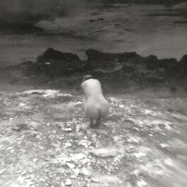 Album cover of Misofonia