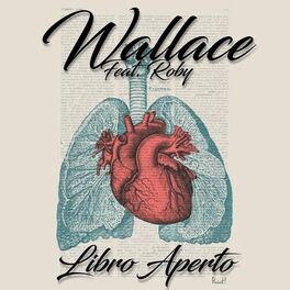 Album cover of Libro aperto