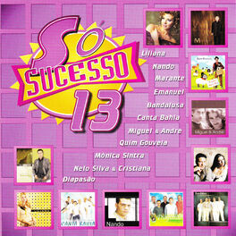 Album cover of Só Sucesso 13