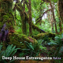 Album cover of Deep House Extravanganza, Vol. 14