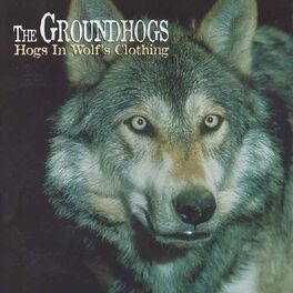 Album cover of Hogs in Wolf's Clothing