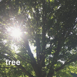 Album cover of Tree
