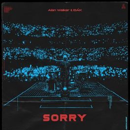 Album picture of Sorry (feat. ISÁK)