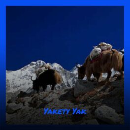 Album cover of Yakety Yak