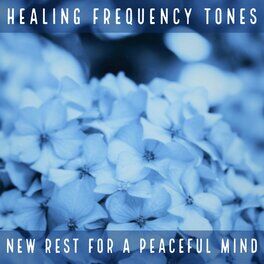 Album cover of New Rest for a Peaceful Mind