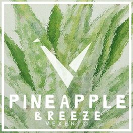 Album cover of Pineapple Breeze