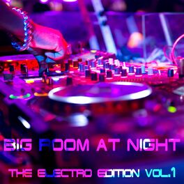 Album cover of Big Room At Night Vol.1 (The Electro Edition)