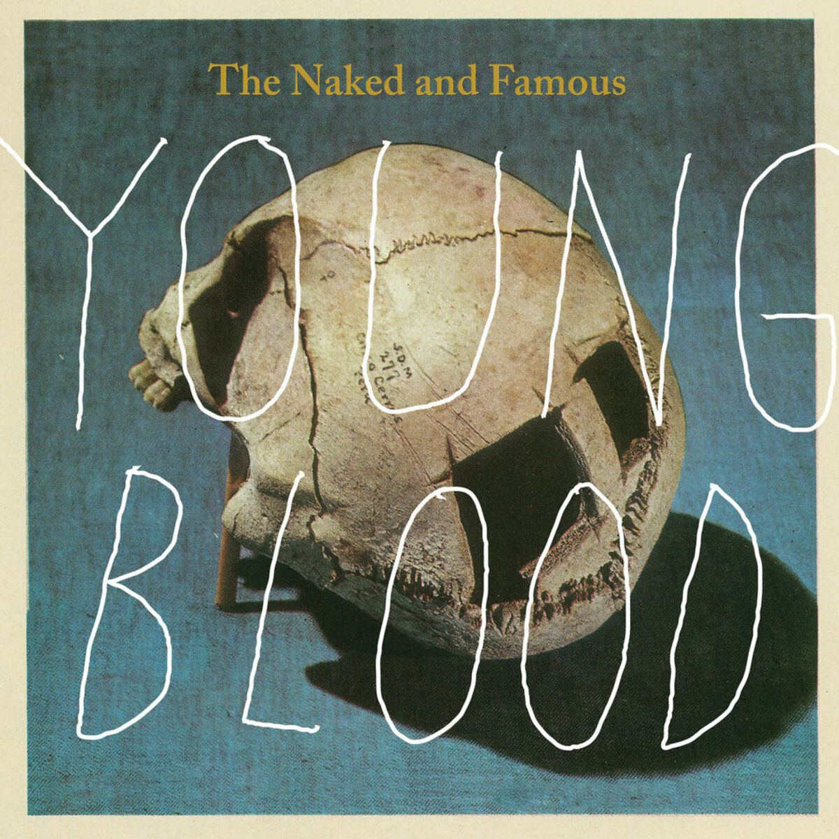 The Naked And Famous - Young Blood (David Andrew Sitek Remix): listen with  lyrics | Deezer