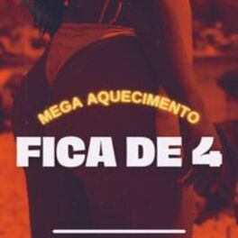 Album cover of Mega Aquecimento Fica de 4