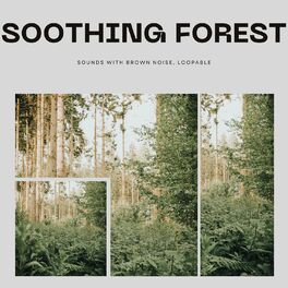 Album cover of Soothing Forest Sounds with Brown Noise, Loopable