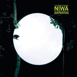 Album cover of Niwa