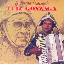 Album cover of Zé Paraíba Homenageia Luiz Gonzaga