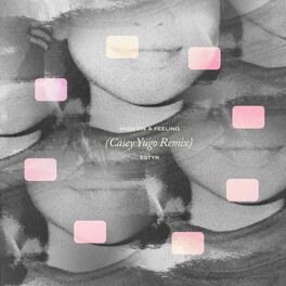 Album cover of High on a Feeling (Casey Yugo Remix)