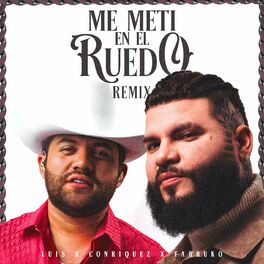 Album cover of Me Metí en el Ruedo (Remix)