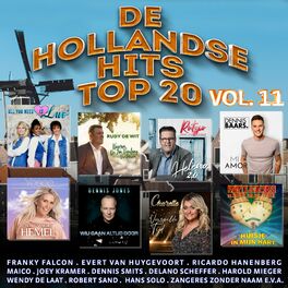 Album cover of De Hollandse Hits Top 20 vol. 11