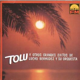 Album cover of Tolu y Otros Grandes Exitos