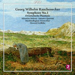Album cover of Rauchenecker: Orchestral Works