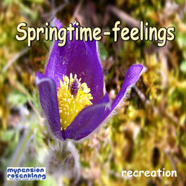 Album cover of Springtime-feelings